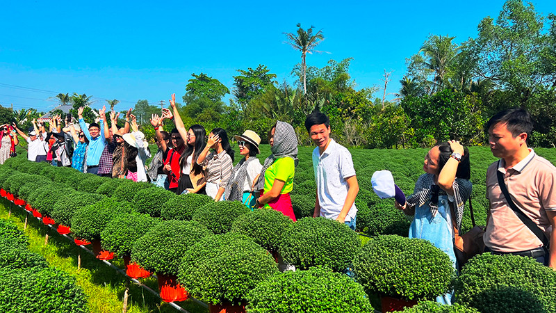 Khách du lịch tham quan vùng sản xuất hoa tại huyện Chợ Lách, tỉnh Bến Tre.