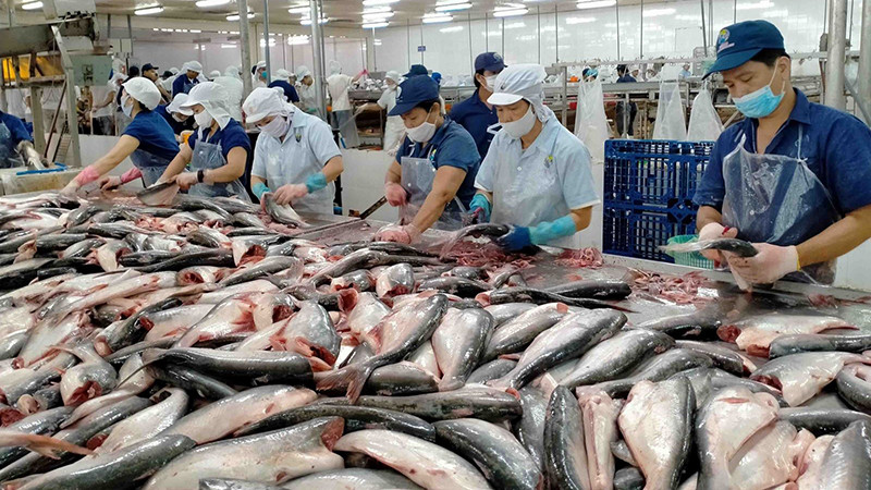 Xuất khẩu cá tra lấy lại đà tăng.