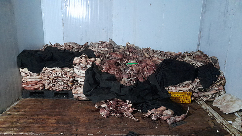 Hơn 1 tấn mèo đông lạnh bị đoàn kiểm tra phát hiện.