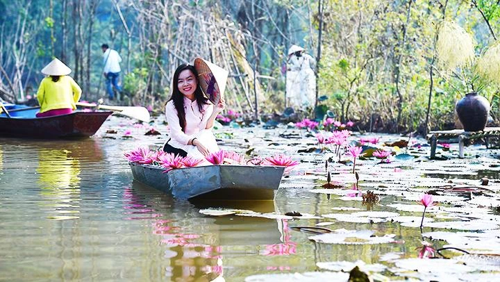 Trên dòng suối hoa
