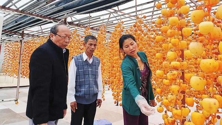 Sản xuất hồng treo gió theo công nghệ Nhật Bản.
