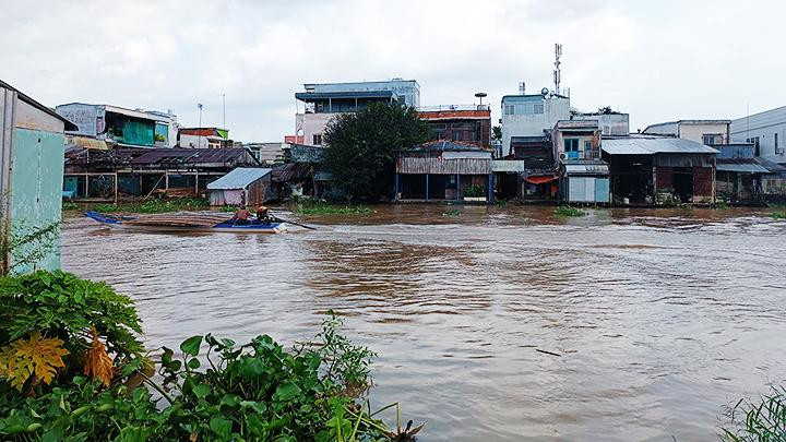 Bên bờ sông Ô Môn.