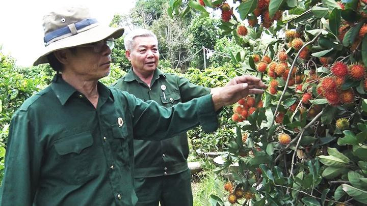 Cựu chiến binh gương mẫu đi đầu trong phát triển kinh tế.