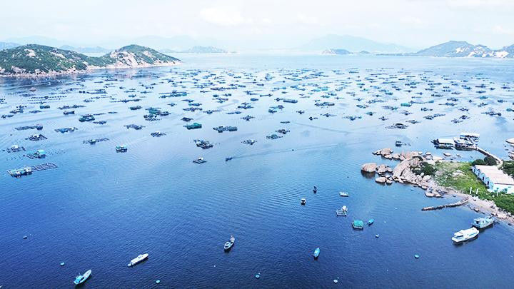 Bè nuôi trồng thủy sản ở vịnh Cam Ranh. 