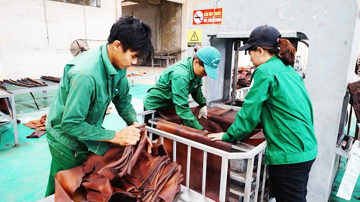  Công nhân chế biến mủ cao-su tại Công ty TNHH MTV cao-su Mang Yang.