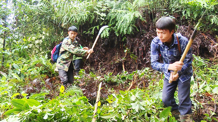 Phát huy "4 tại chỗ" trong công tác bảo vệ rừng.