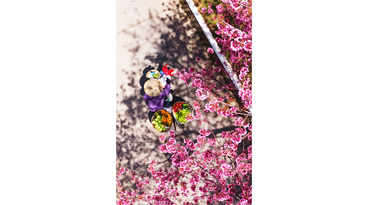 Ảnh: TRƯƠNG NGỌC THỤY