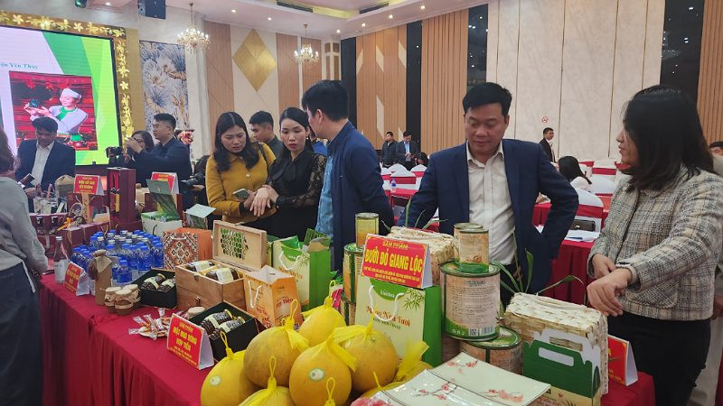 Các sản phẩm tại Hội nghị đánh giá, phân hạng OCOP 4 sao cấp tỉnh năm 2023.