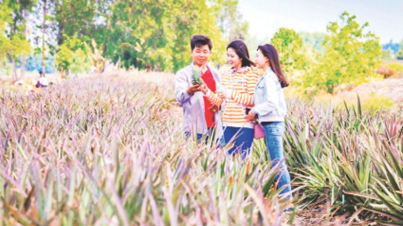 Trải nghiệm du lịch cộng đồng vùng khóm Cầu Đúc, xã Hỏa Tiến, TP Vị Thanh. (Ảnh HIỀN THANH)