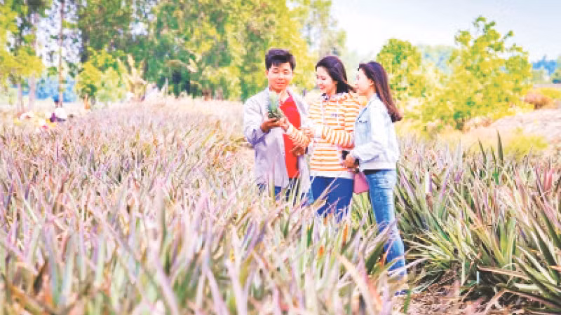 Trải nghiệm du lịch cộng đồng vùng khóm Cầu Đúc, xã Hỏa Tiến, TP Vị Thanh. (Ảnh HIỀN THANH)