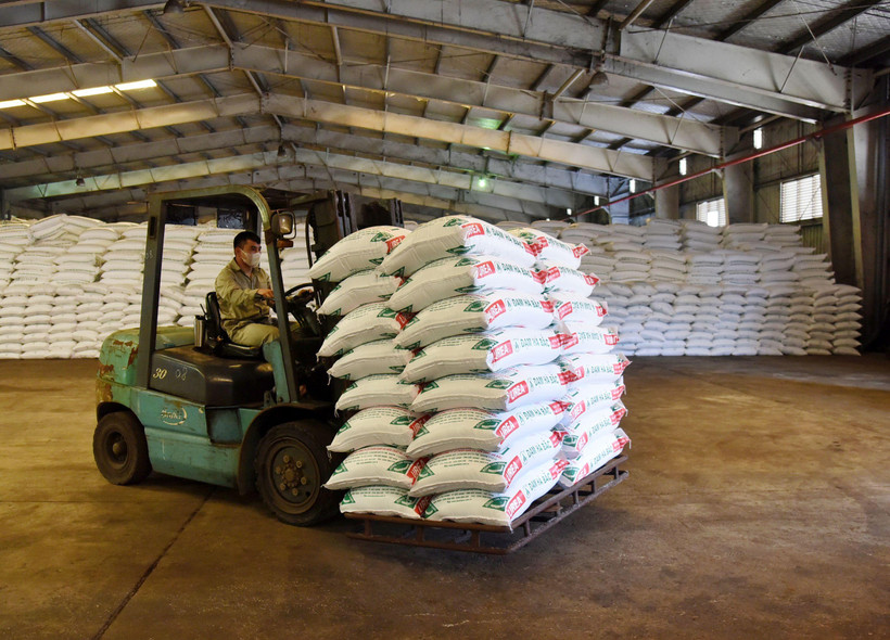 Công nhân Nhà máy đạm Hà Bắc (Bắc Giang) vận chuyển đạm đi tiêu thụ. (Ảnh: TRẦN HẢI)
