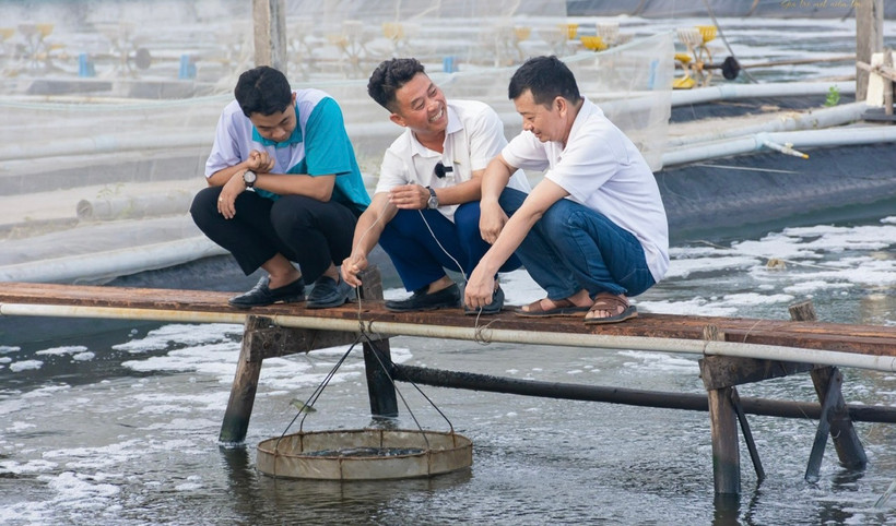 "Tiến sĩ chân đất, bác sĩ tôm" Lê Anh Xuân (giữa) thường xuyên trao đổi với các cộng sự về việc áp dụng khoa học-công nghệ nuôi tôm. (Ảnh: TRỌNG DUY)