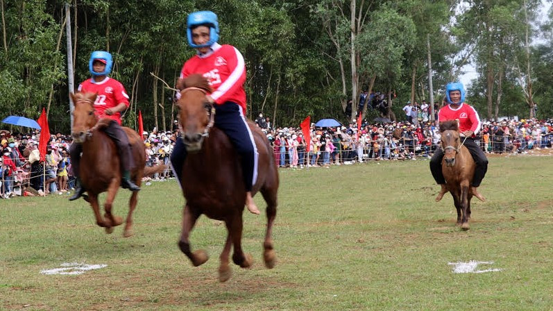 Các kỵ mã tranh tài trên đường đua hấp dẫn người xem tại hội đua ngựa Gò Thì Thùng, Phú Yên