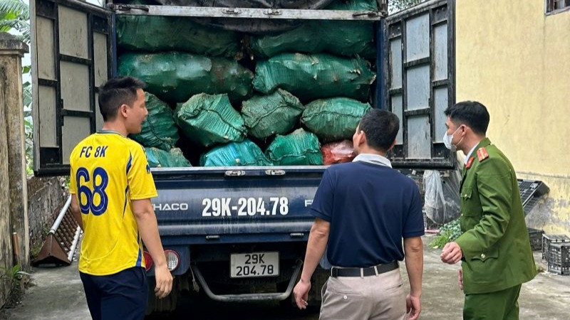 Xe ô-tô tải BKS 29K-204.78 vận chuyển 2.570kg xương động vật trên thùng xe, có dấu hiệu phân hủy, bốc mùi hôi thối.