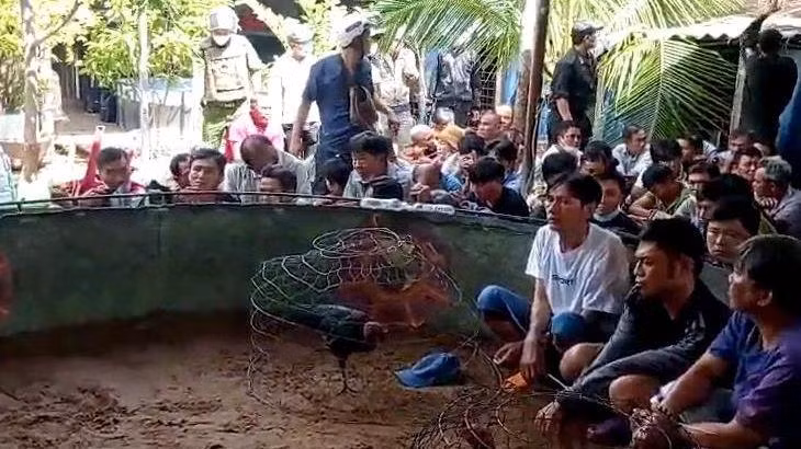 Các đối tượng tổ chức đánh bạc và tham gia đánh bạc dưới hình thức đá gà bị bắt quả tang tại hiện trường.