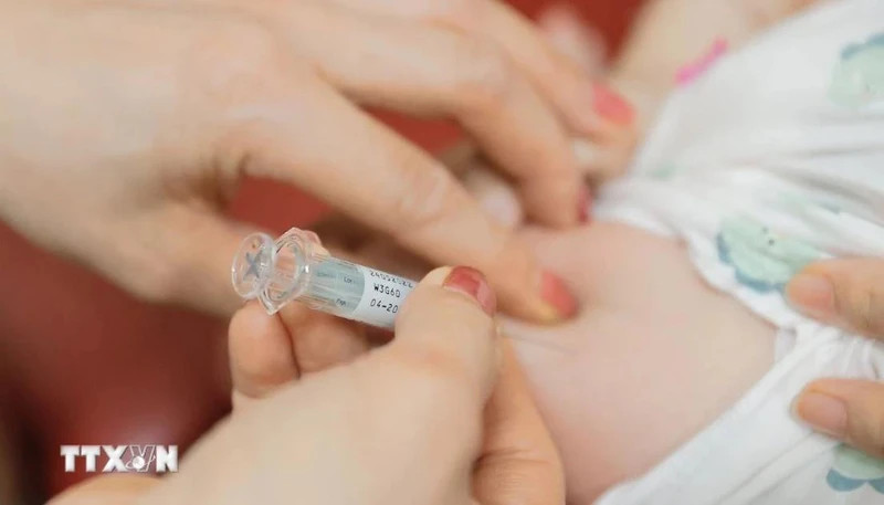 Ảnh minh họa. (Ảnh: Minh Quyết/TTXVN)