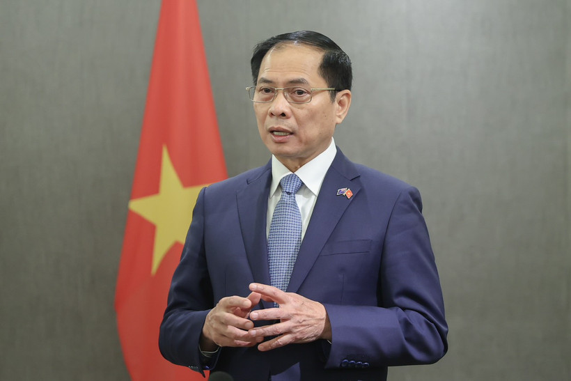 Bộ trưởng Ngoại giao Bùi Thanh Sơn.