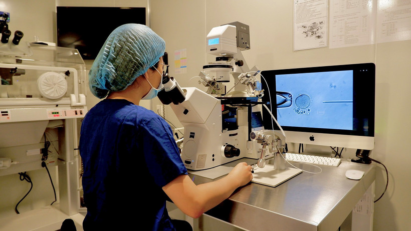 Sinh thiết phôi - một trong những bước quan trọng trong quá trình thực hiện kỹ thuật PGT-M.