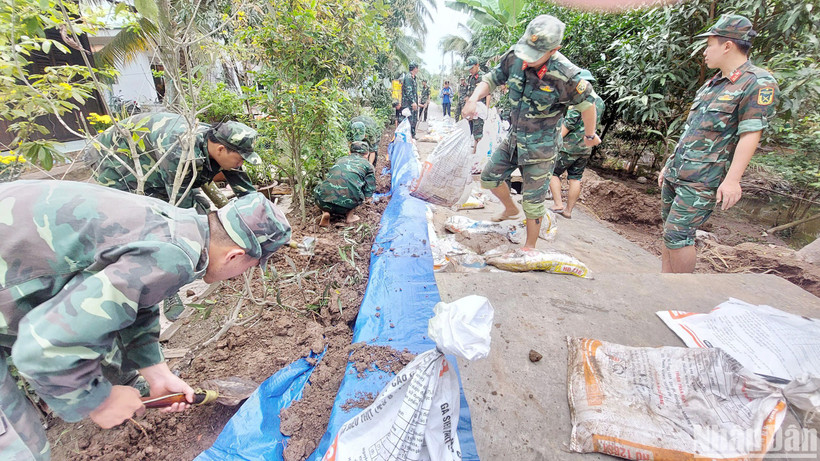Cán bộ, chiến sĩ Bộ Chỉ huy quân sự tỉnh giúp dân khắc phục sạt lở đê tại ấp Long Trị, xã Long Đức, thành phố Trà Vinh.