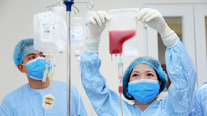 Các y, bác sĩ truyền tế bào gốc cho người bệnh.