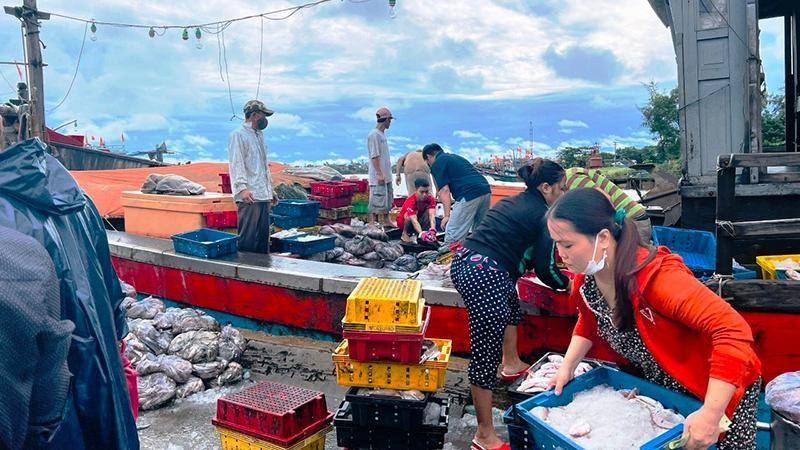Chuyến cập bờ cuối cùng của ngư dân Thuận An (thành phố Huế) trước khi bão số 4 đổ bộ vào đất liền.