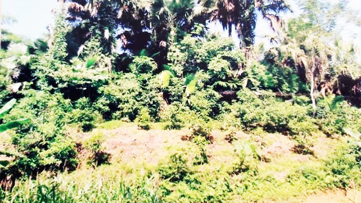 Xếp hạng di tích điểm đóng Cục Quân khí (1951-1954)