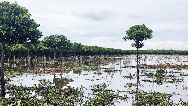 Dự án FMCR tại Nghệ An.
