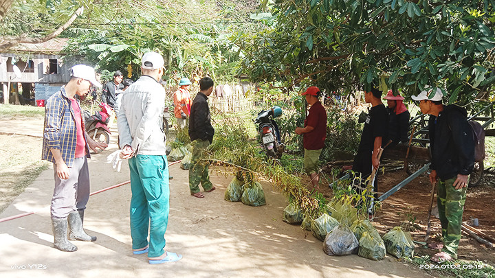 Chuyển cây bản địa phục vụ việc trồng rừng tự nhiên.