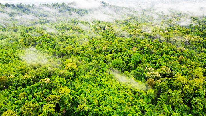 Vườn quốc gia Cát Tiên có chu vi hơn 400km.