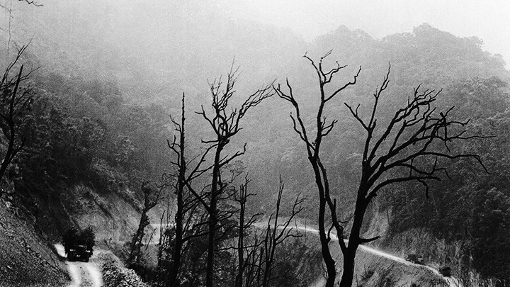 Một đoạn đường Trường Sơn trơ trụi do chất độc hóa học và bom Mỹ. Ảnh: TTXVN