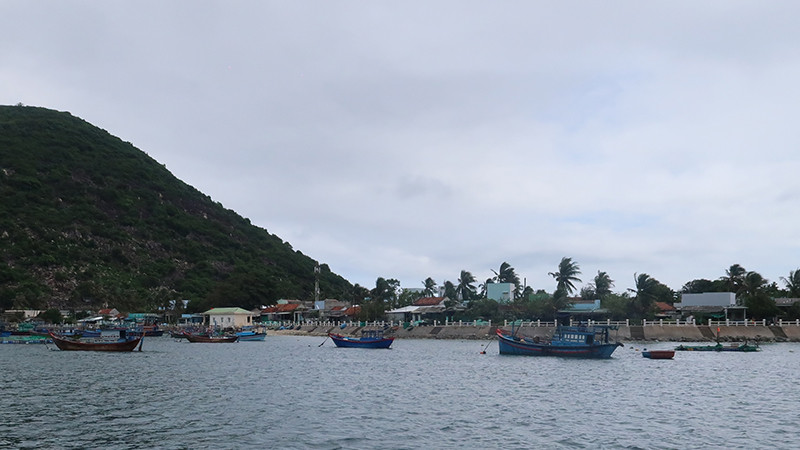 Một góc đảo Bích Đầm.