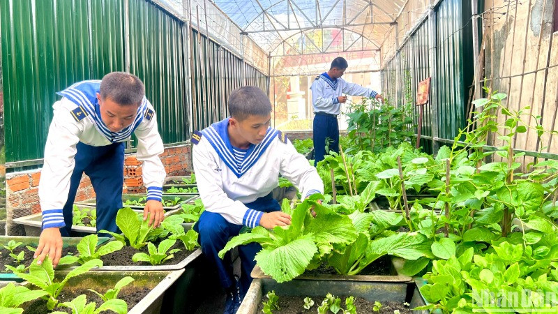 Chiến sĩ tăng gia sản xuất, trồng rau trên đảo An Bang.