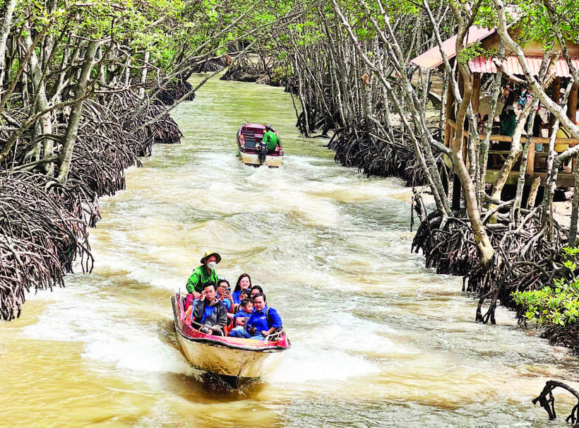 Người dân trải nghiệm du lịch tại rừng Sác (huyện Cần Giờ).