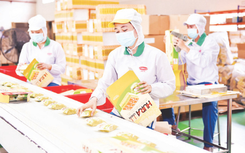 Công nhân đóng gói, hoàn thiện sản phẩm trên dây chuyền sản xuất của Công ty Bibica.