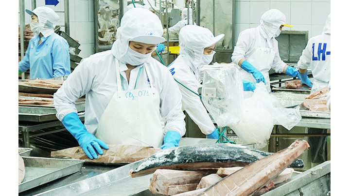 Nhóm nông sản xuất khẩu đạt gần 22 tỷ USD, tăng 17% so với năm trước. Ảnh: NAM ANH