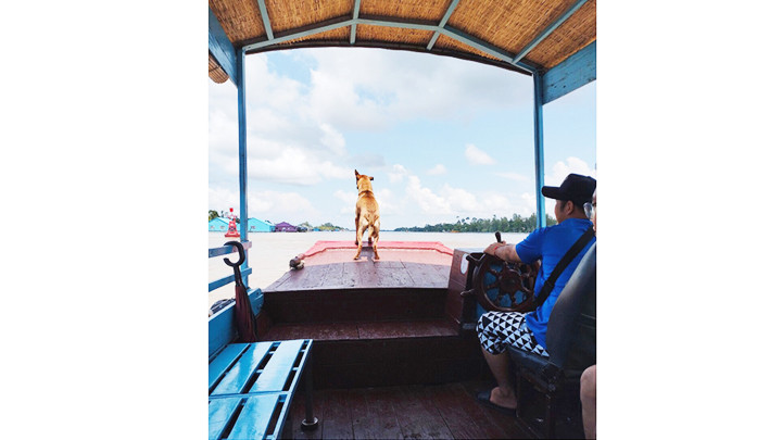 Anh Nghĩa và con Quậy.