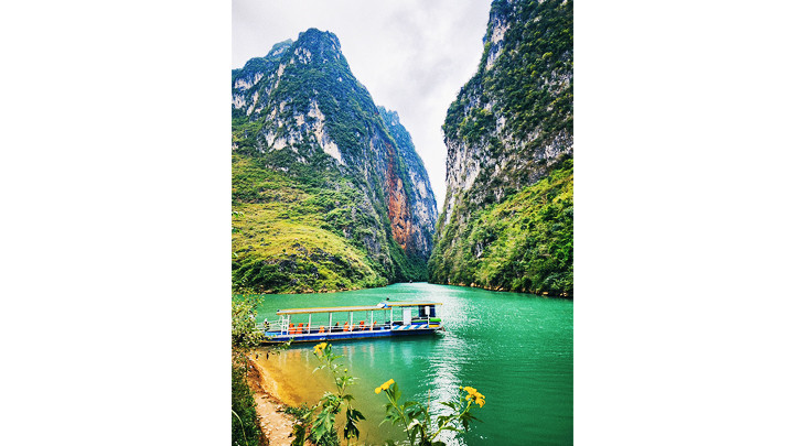 Chạm vào Nho Quế