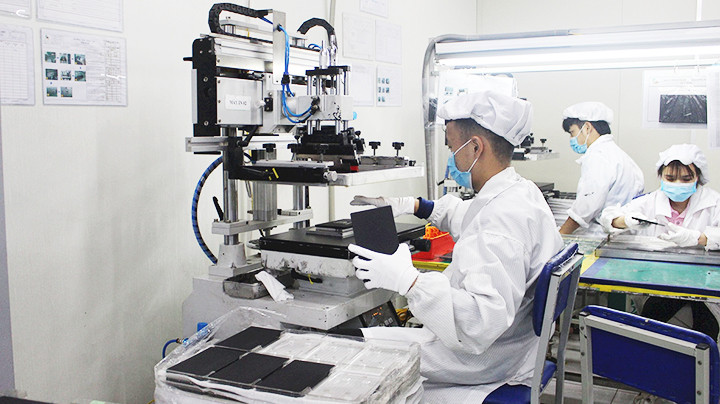 Các môn khoa học cơ bản cần được chú trọng, vì đó là nền tảng để đào tạo nhân lực phục vụ các ngành công nghệ cao.