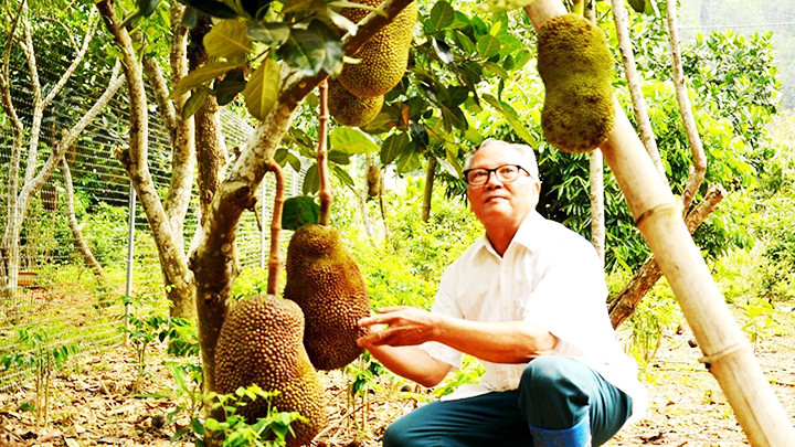 Cựu chiến binh Phạm Đăng Lịch, ở thôn An Thành, thị trấn Lu (Bảo Thắng, Lào Cai).
