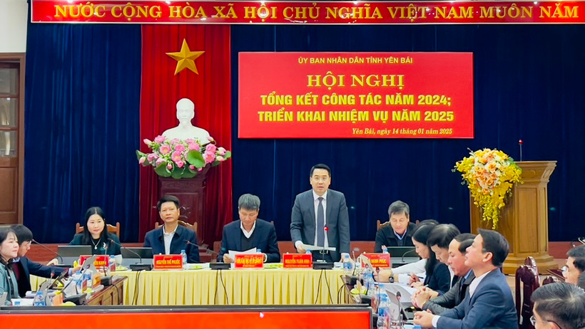 Chủ tịch Ủy ban nhân dân tỉnh Nguyễn Tuấn Anh phát biểu tại hội nghị. (Ảnh: THANH SƠN)