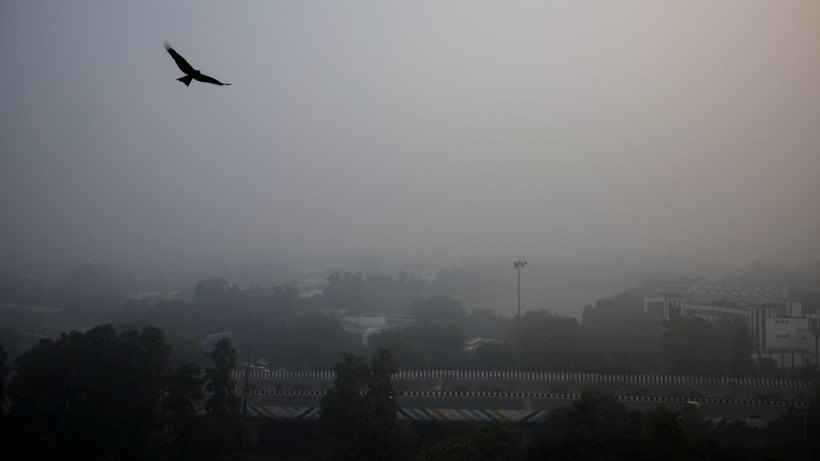 Trước tình trạng ô nhiễm không khí ngày càng nghiêm trọng tại Delhi, Chính phủ Ấn Độ đã quyết định cấm toàn bộ các công trình xây dựng không cần thiết; đồng thời kêu gọi người dân tránh đốt than để sưởi ấm. (Ảnh: Reuters)