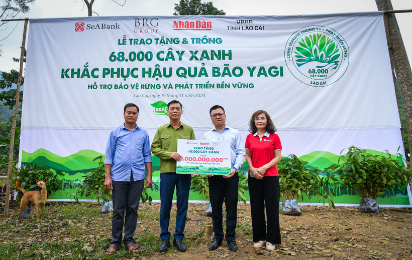 [Ảnh] Báo Nhân Dân trồng hàng chục nghìn cây xanh hỗ trợ sinh kế bà con Làng Nủ