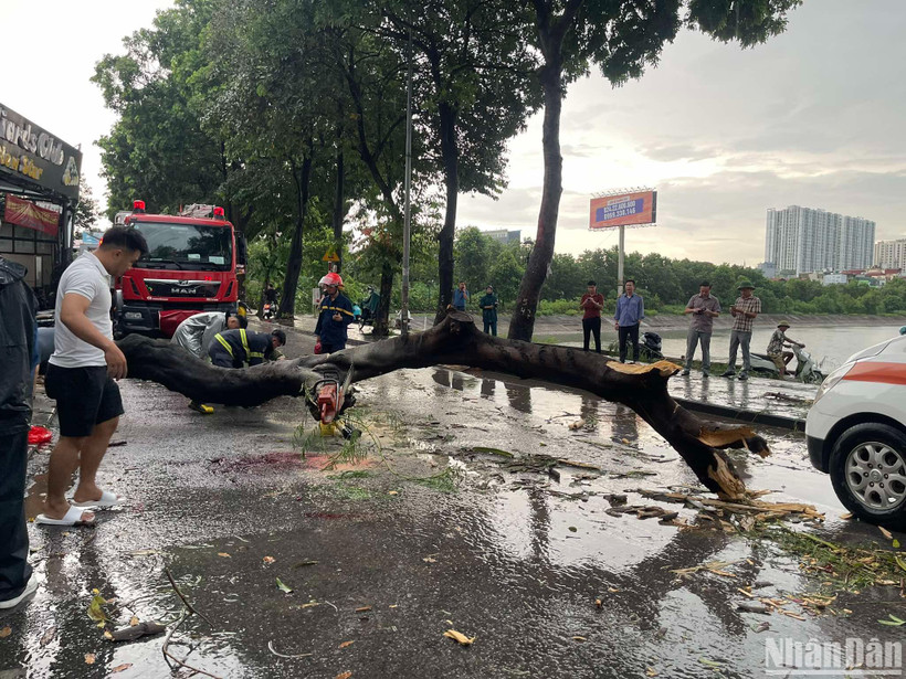 Hiện trường vụ tai nạn thương tâm tại đường Nguyễn Hữu Thọ.