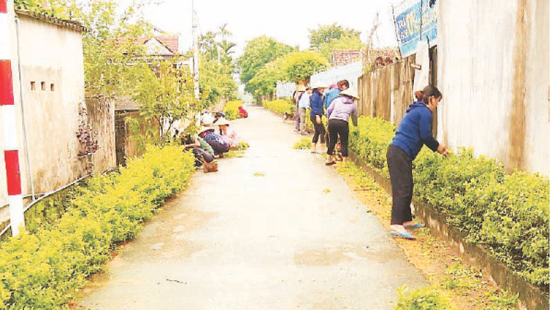 Phụ nữ xã Quảng Trung, thị xã Ba Đồn (Quảng Bình) chăm sóc hàng rào xanh mướt quanh đường làng.