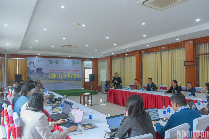 Các nhà khoa học rà soát các loài để cập nhật lại trong Sách đỏ Việt Nam vào cuối năm 2023.