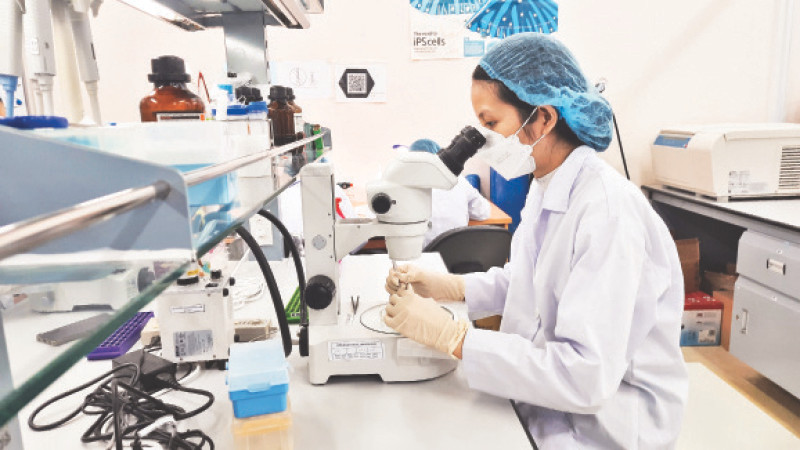 Hoạt động nghiên cứu khoa học tại Trường đại học Quốc tế (Đại học Quốc gia Thành phố Hồ Chí Minh).