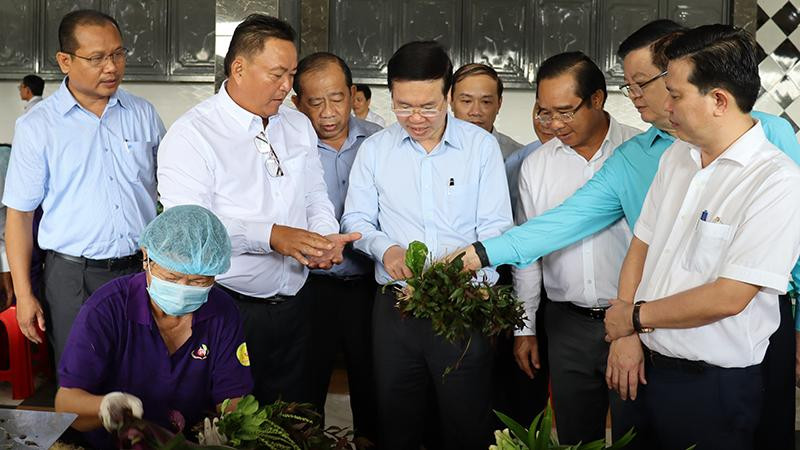 Thường trực Ban Bí thư Võ Văn Thưởng đi khảo sát công đoạn sơ chế rau tại Hợp tác xã Phước Thịnh, xã Phước Hậu (huyện Cần Giuộc, tỉnh Long An).