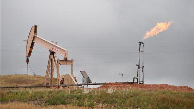 Đường ống dẫn khí đốt ở Williston, North Dakota, Mỹ. (nh: AFP/TTXVN)