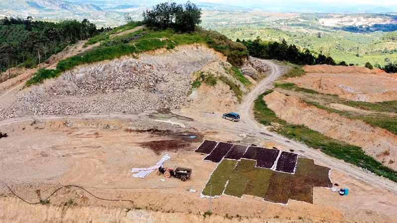 Hiện trường vụ việc.