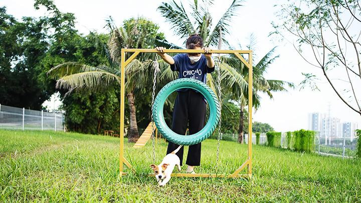 Cún cưng có thể chạy nhảy thoải mái tại khu vực dành riêng ở Công viên Yên Sở.